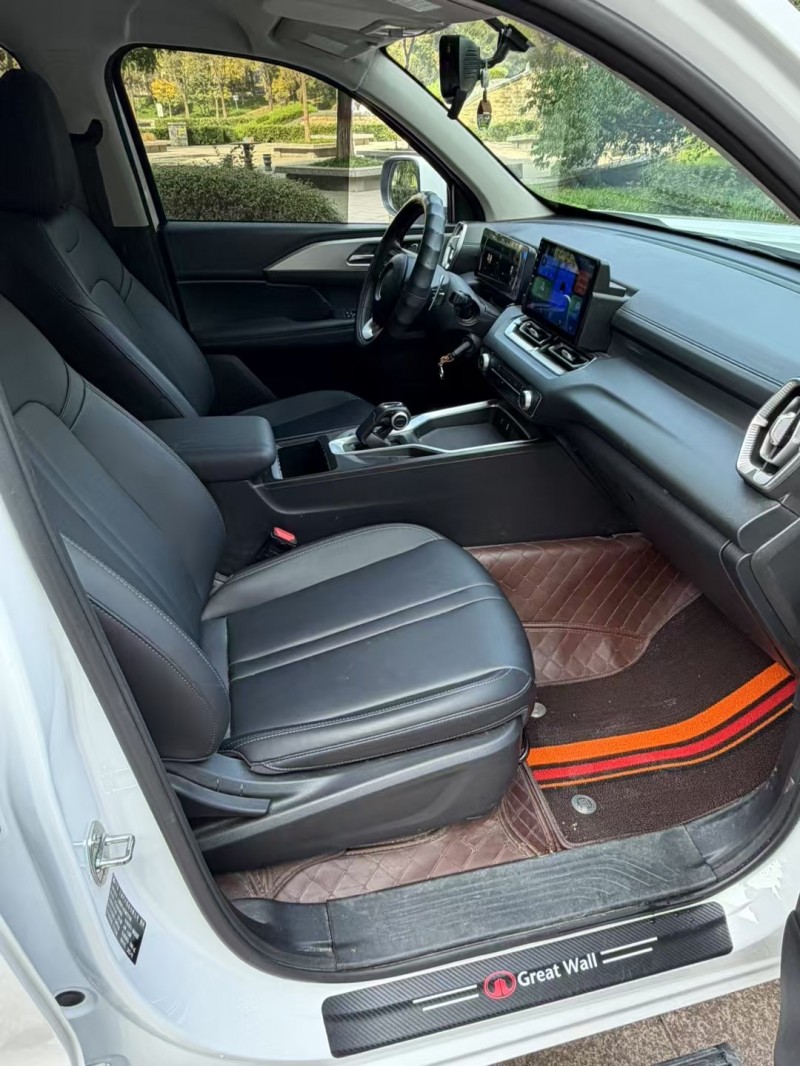 邢台25年长城汽车炮 皮卡6