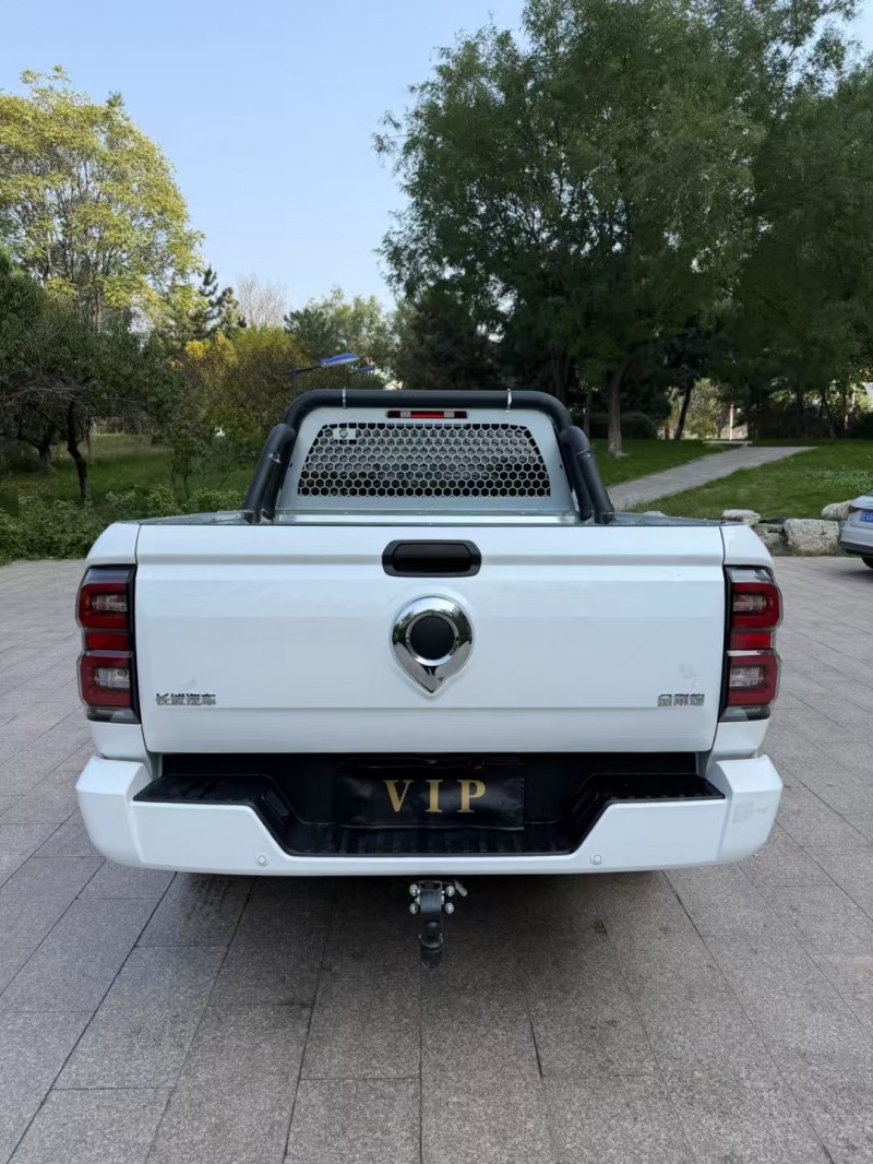 邢台25年长城汽车炮 皮卡9