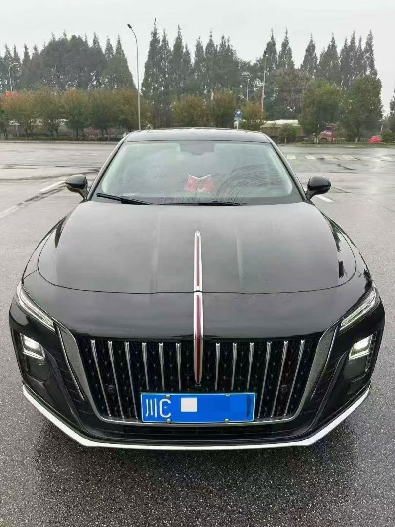 泸州24年红旗H51