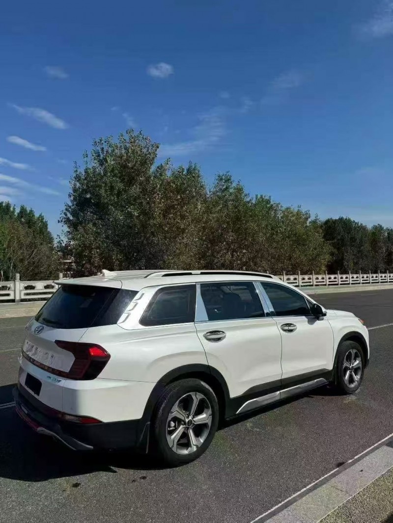 枣庄19年现代新胜达7