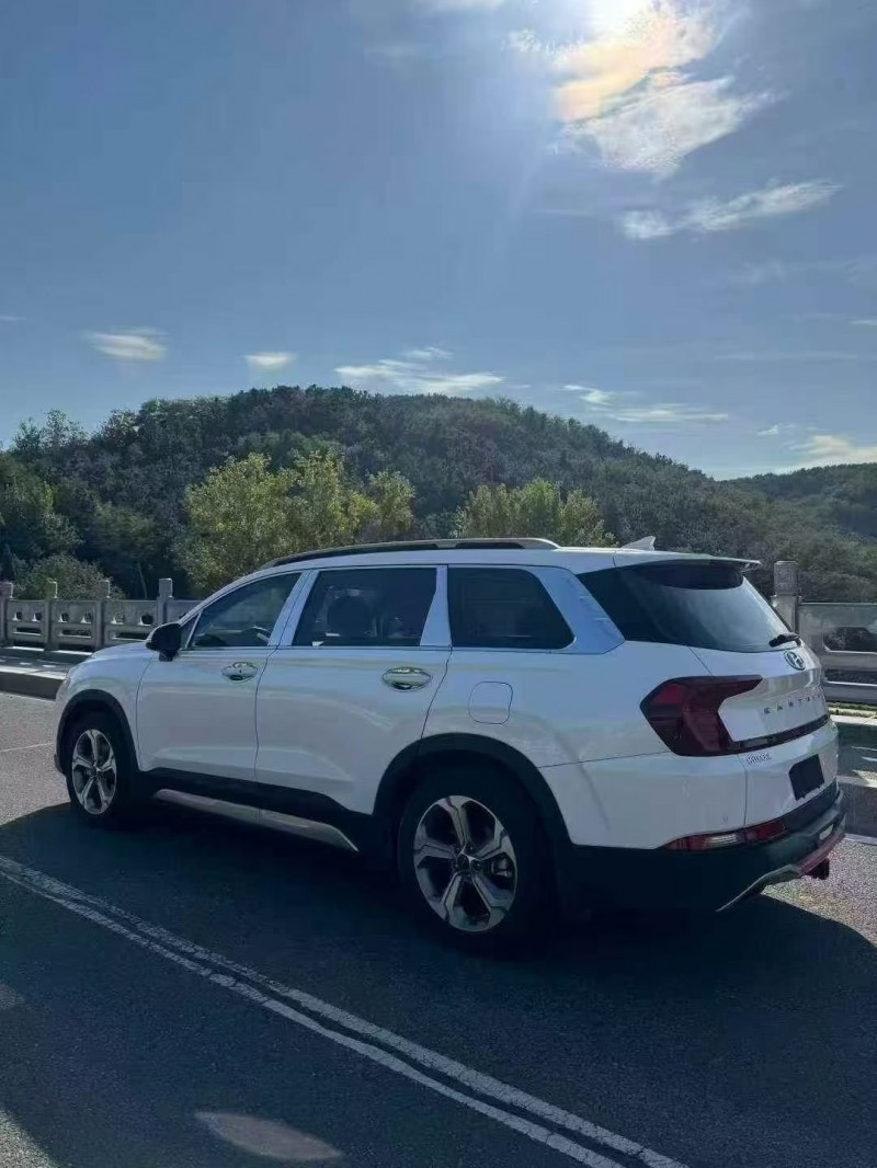 枣庄19年现代新胜达8