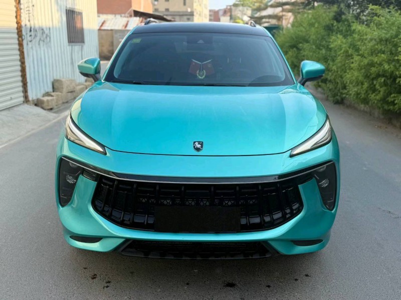 厦门21年东风T51