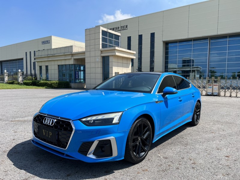 盐城22年奥迪A53