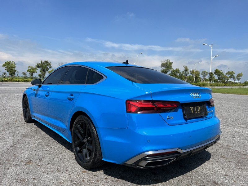 盐城22年奥迪A59