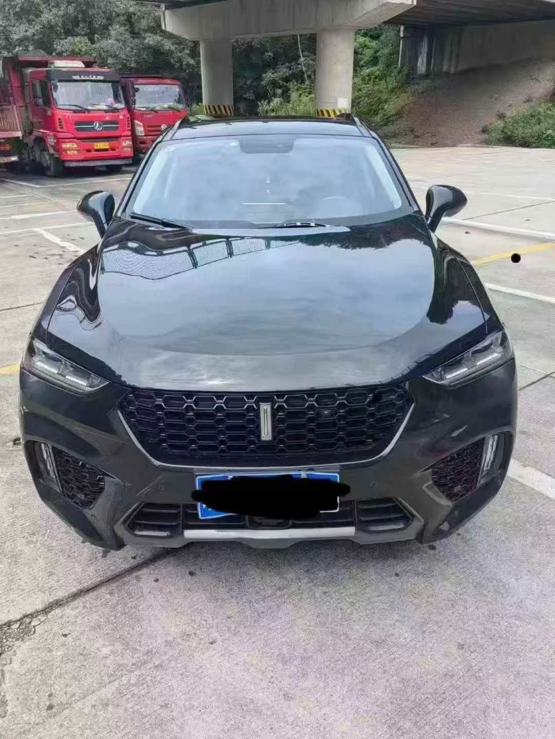 淮南17年长城汽车魏牌1