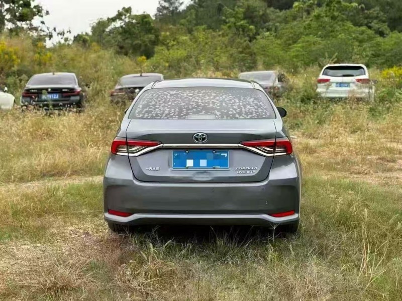 菏泽20年丰田卡罗拉9