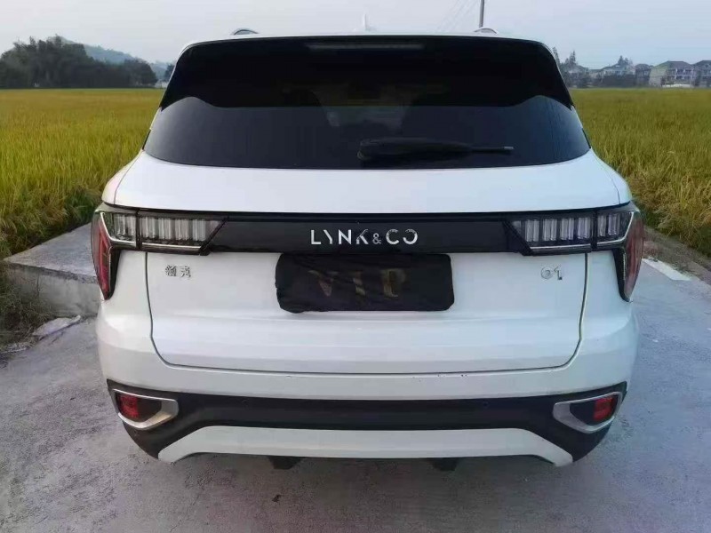 湖州20年领克019