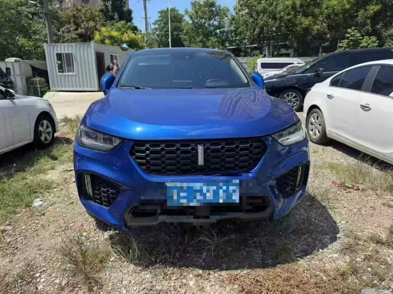 徐州17年长城汽车魏牌1