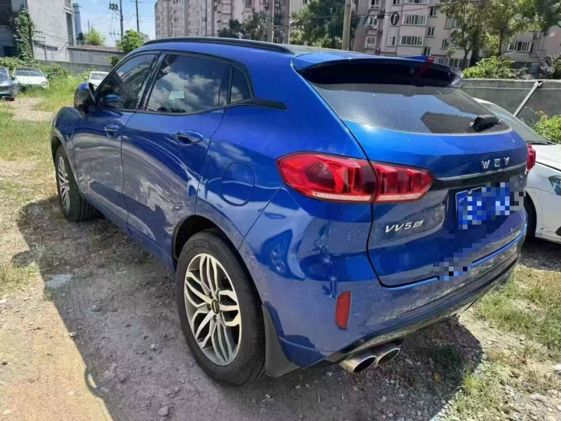 徐州17年长城汽车魏牌9