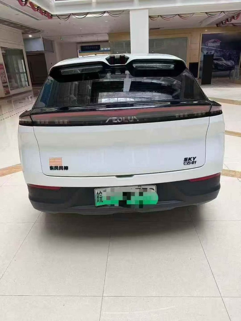 淮南24年东风风神9