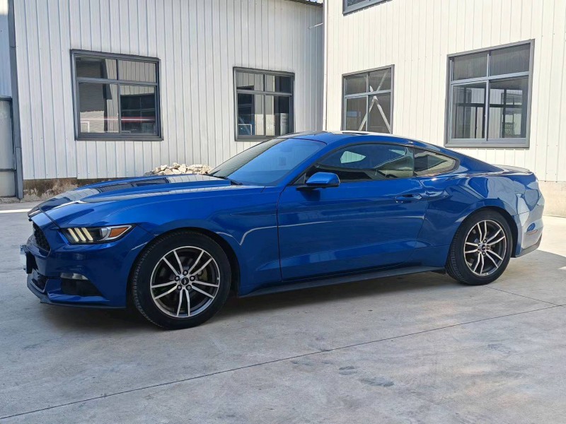 黄山18年福特野马3