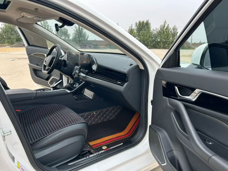 邯郸24年奔腾B704