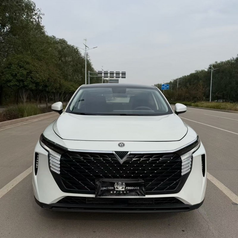 潍坊23年启辰大V1