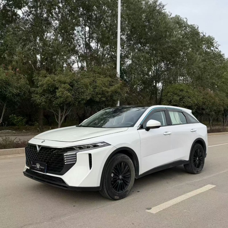 潍坊23年启辰大V3