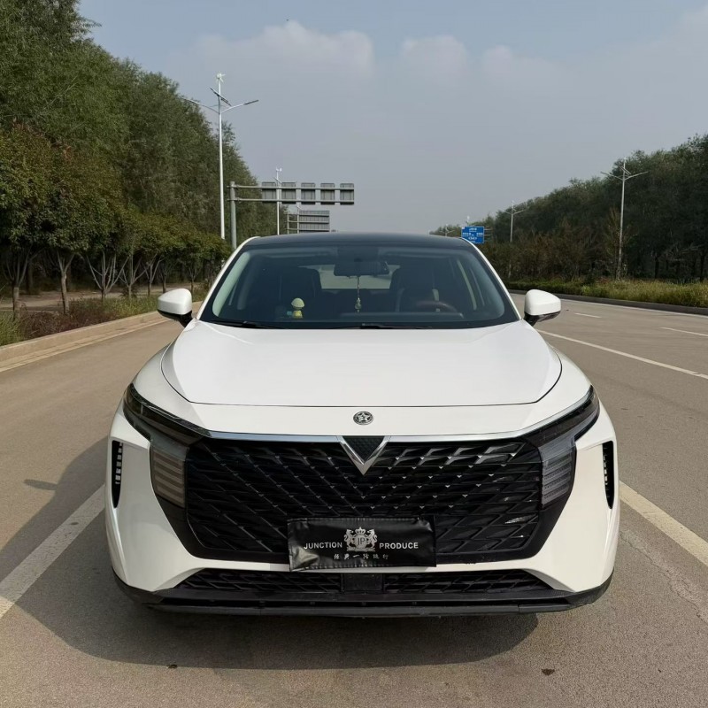 菏泽22年启辰大V1