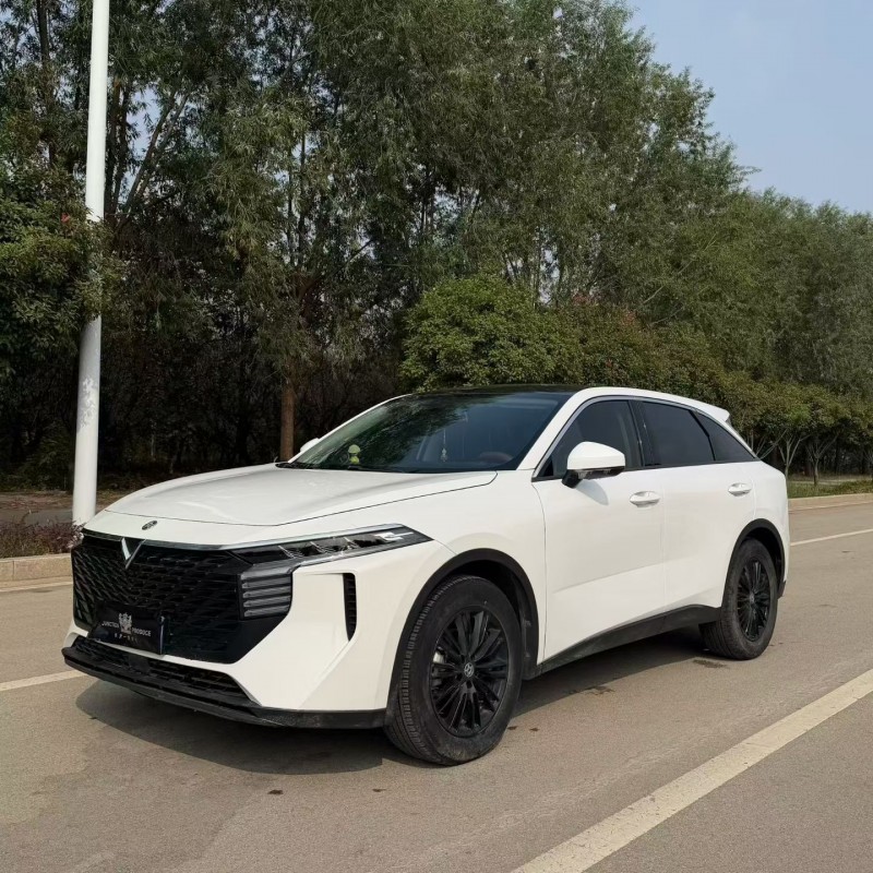 菏泽22年启辰大V2