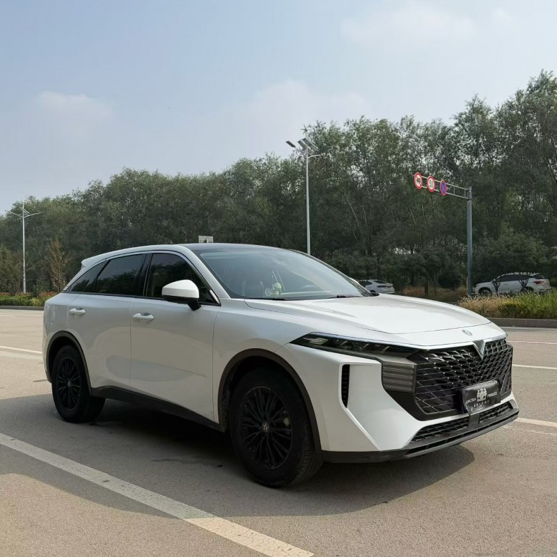 菏泽22年启辰大V3