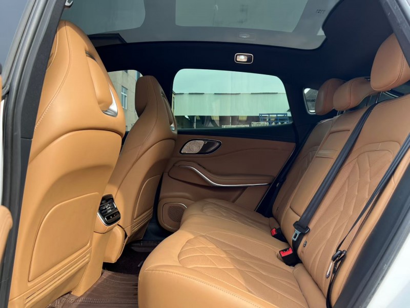 徐州24年上汽集团飞凡R77