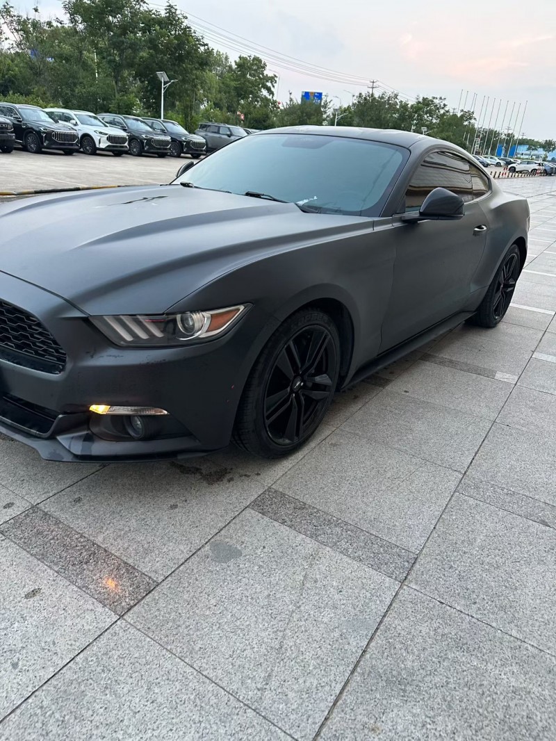 蚌埠17年福特野马3