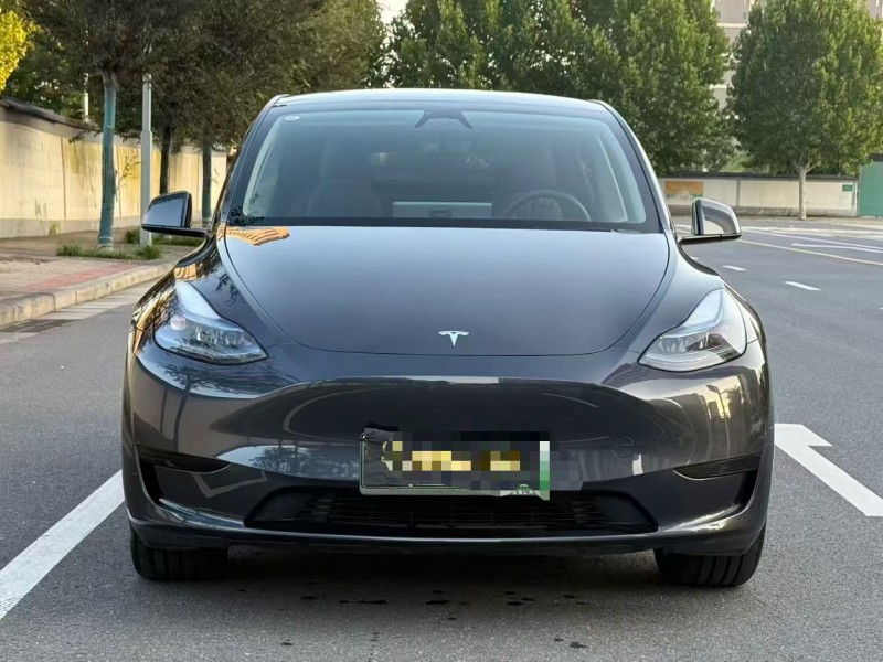 郑州24年特斯拉MODEL Y1