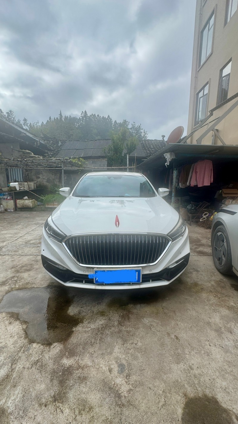 恩施19年红旗H51