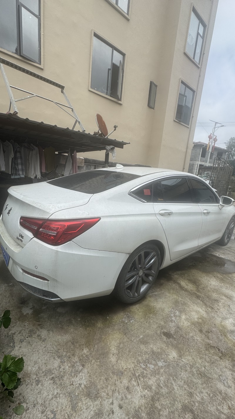 恩施19年红旗H54