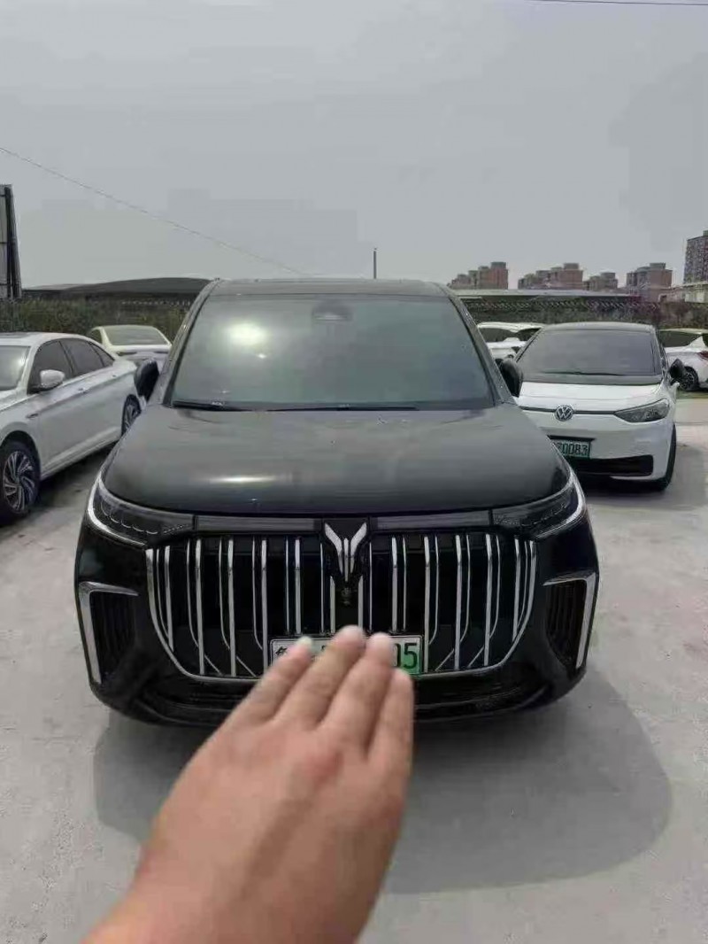 菏泽23年岚图汽车梦想家1