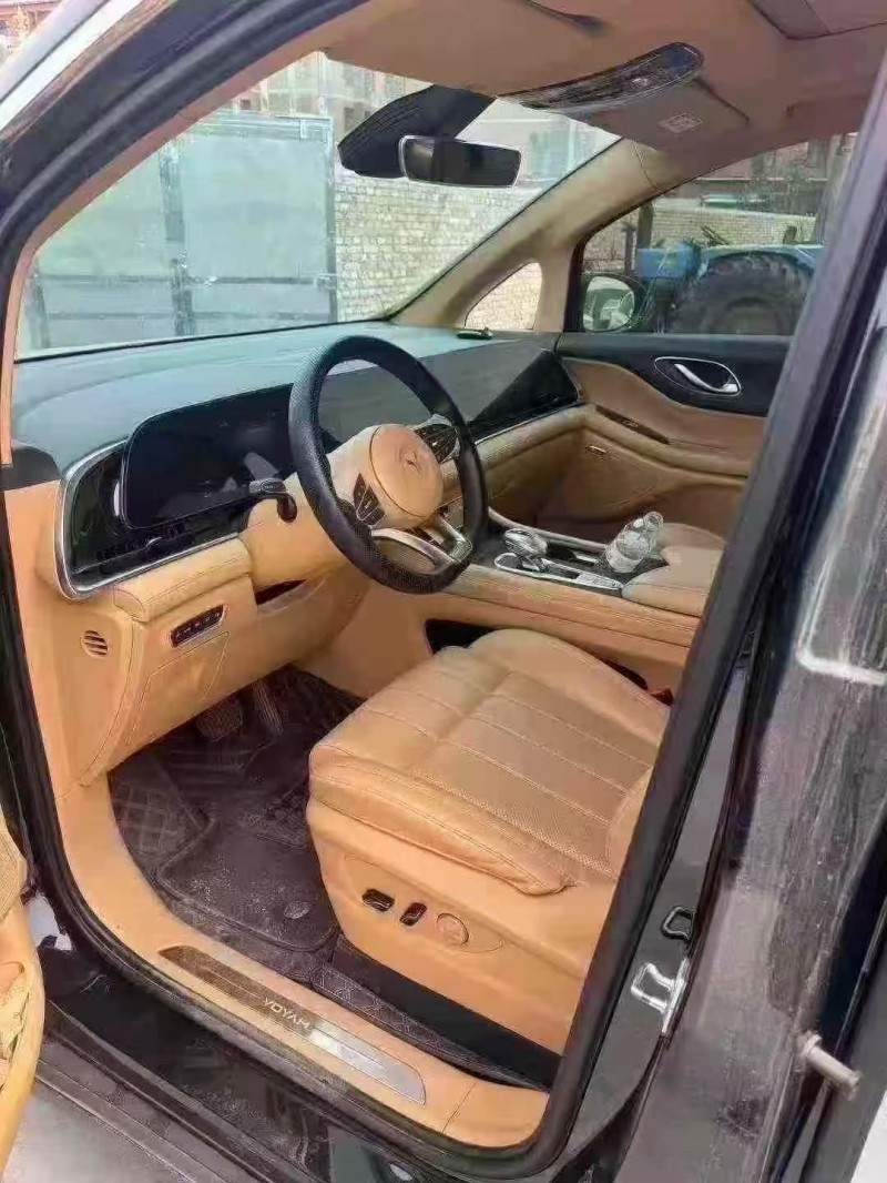 菏泽23年岚图汽车梦想家4