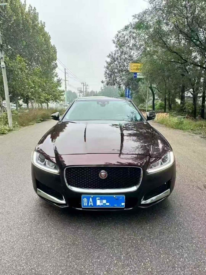 菏泽20年捷豹XFL1