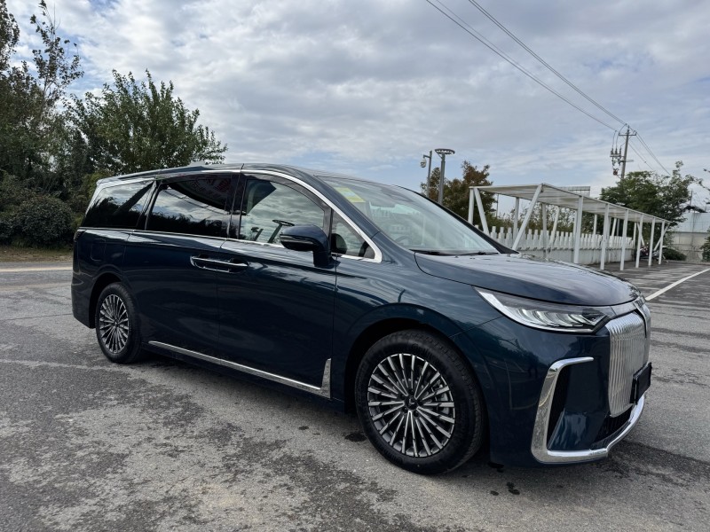 盐城25年岚图汽车梦想家2