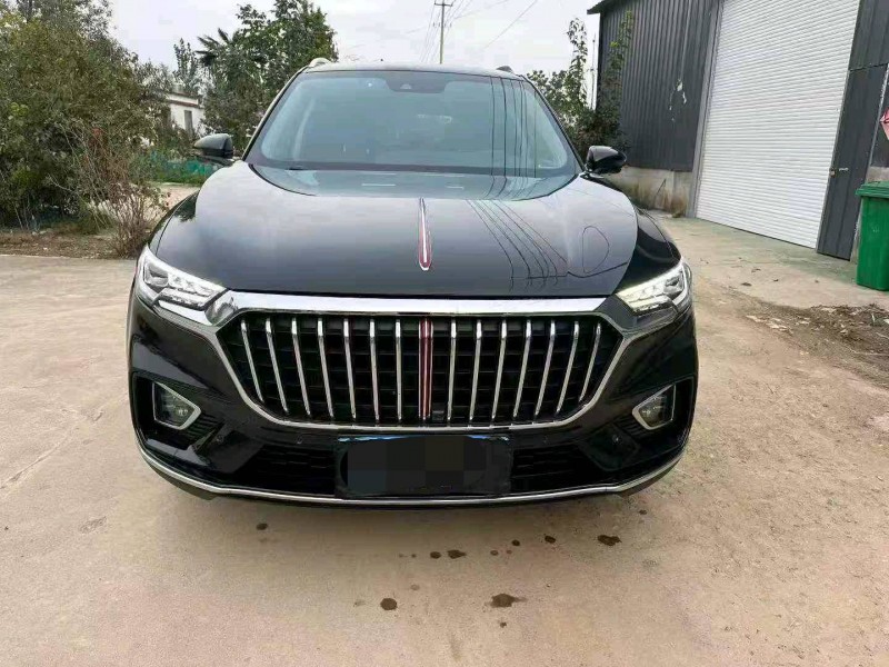 徐州20年红旗HS51