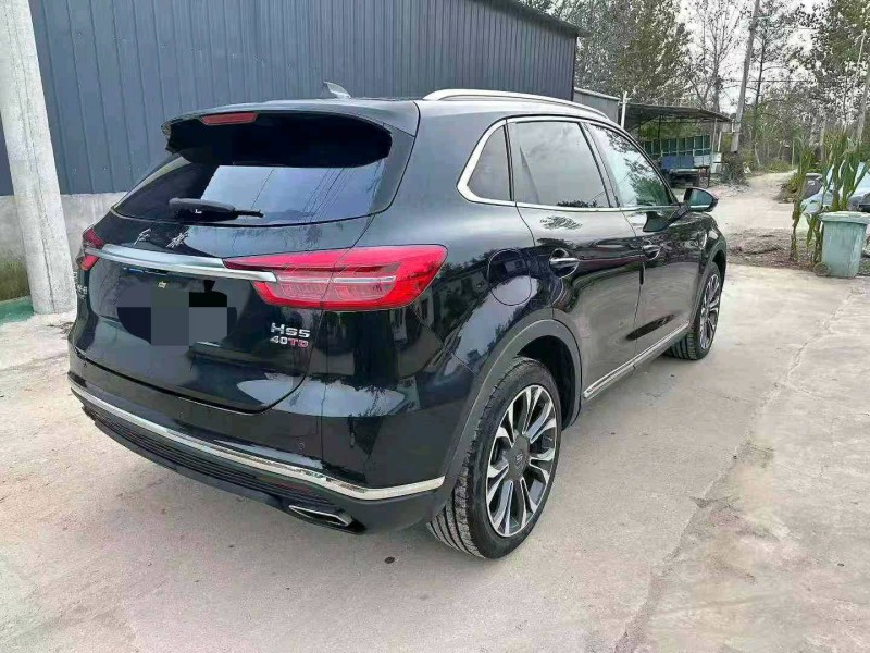 徐州20年红旗HS58