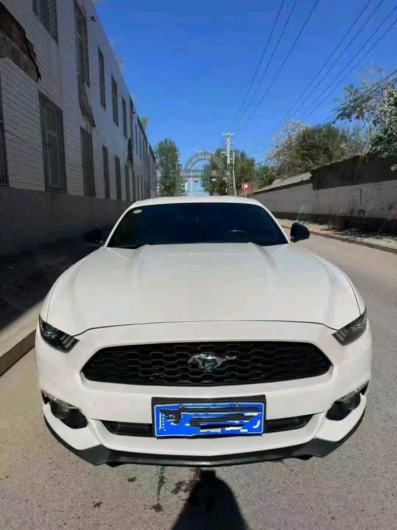 日照17年福特野马1