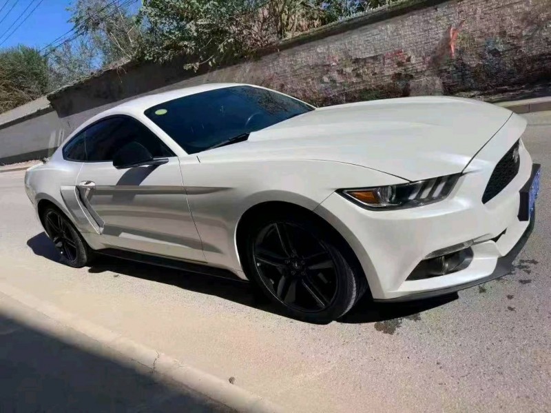 日照17年福特野马3