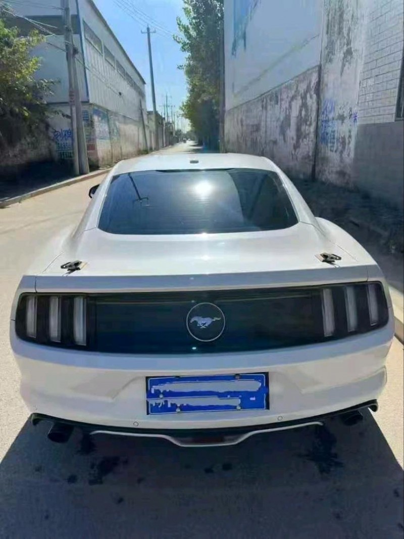 日照17年福特野马8