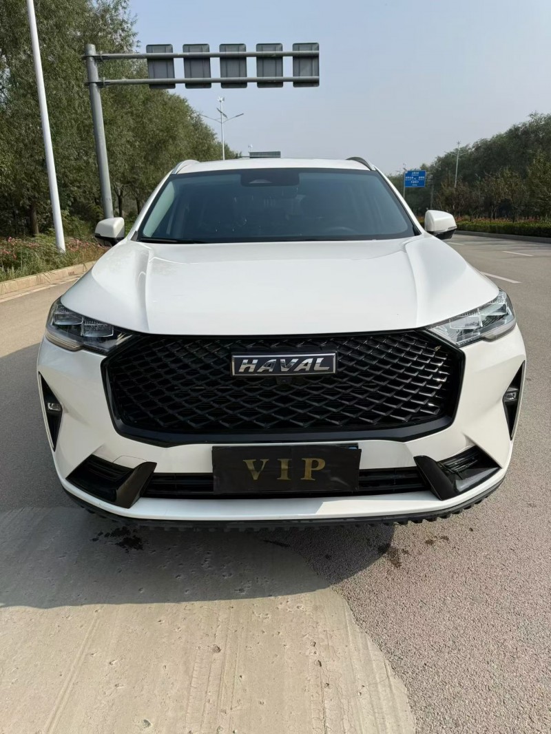 潍坊24年哈弗H61