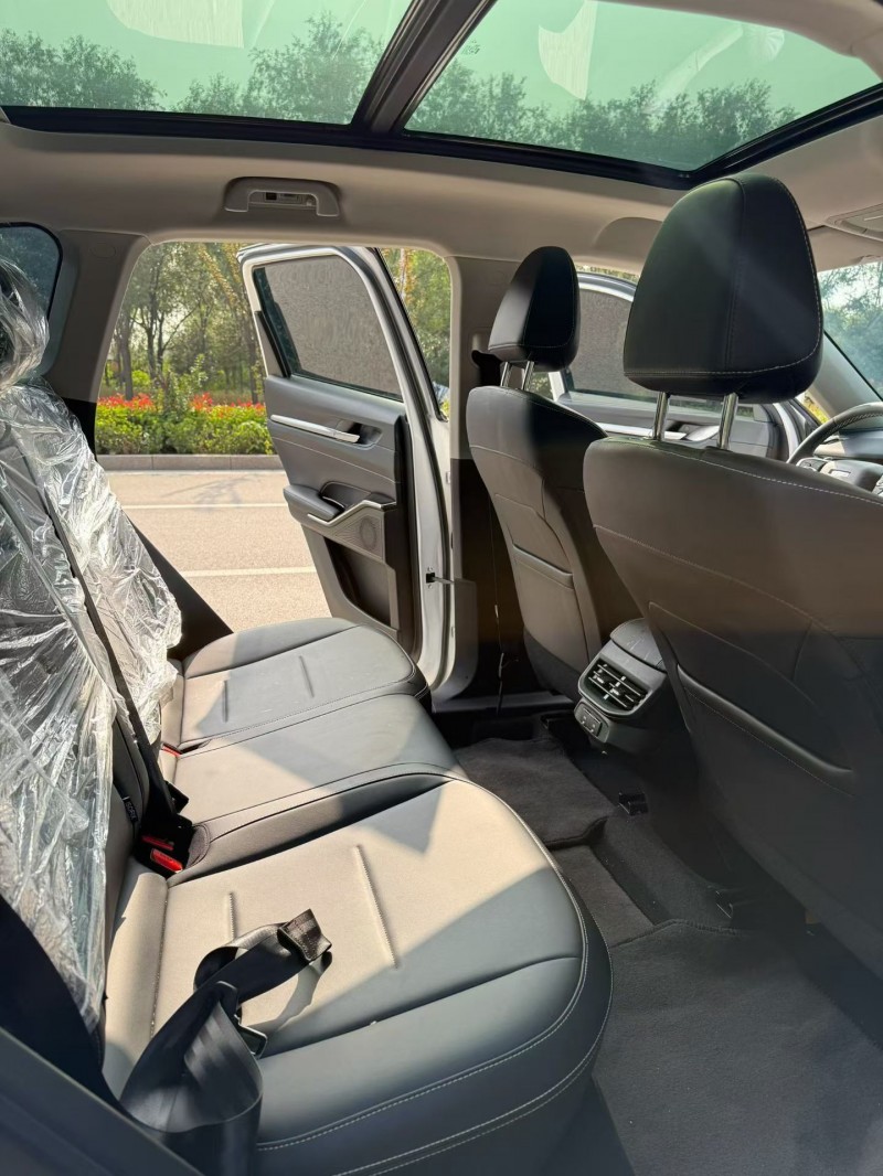 潍坊24年哈弗H65