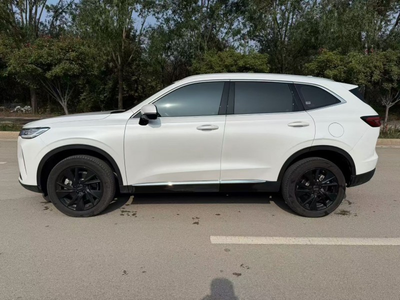 潍坊24年哈弗H67