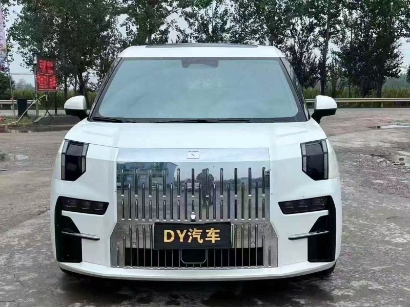 菏泽23年极氪汽车0091