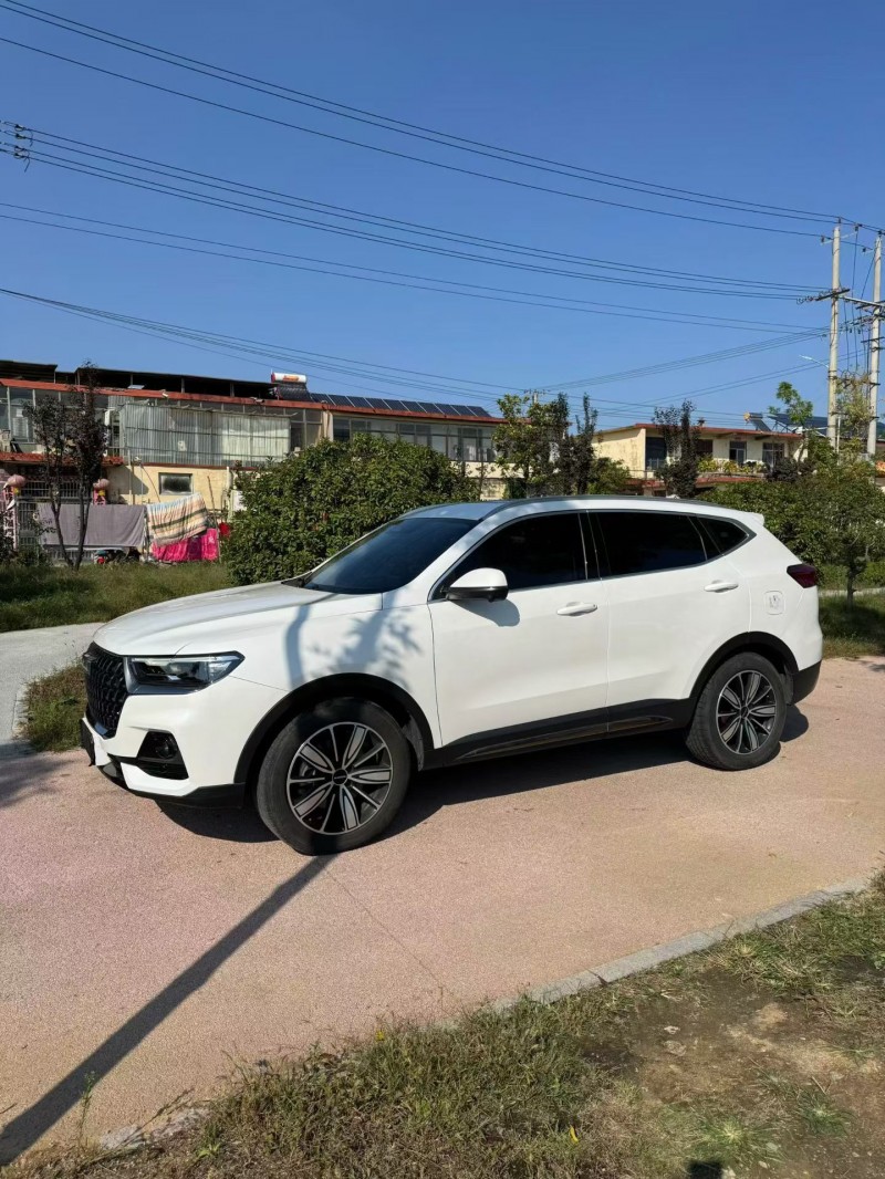 枣庄23年哈弗H63