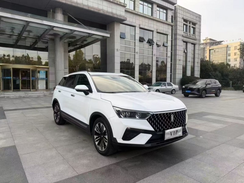 枣庄20年奔腾T773