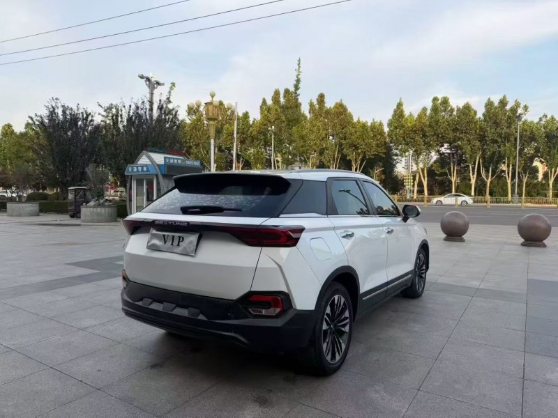 枣庄20年奔腾T779