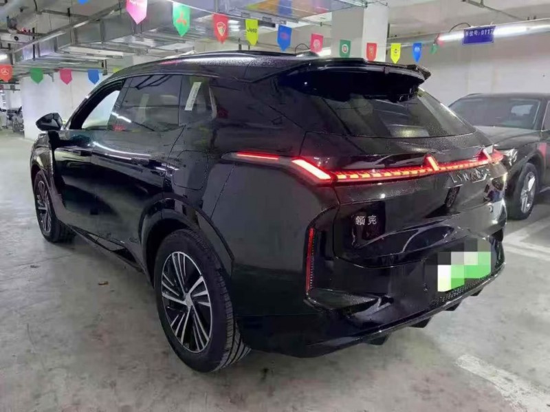 德阳25年领克088