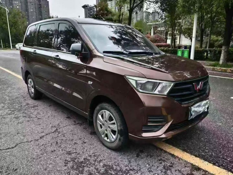 延安20年五菱汽车宏光2