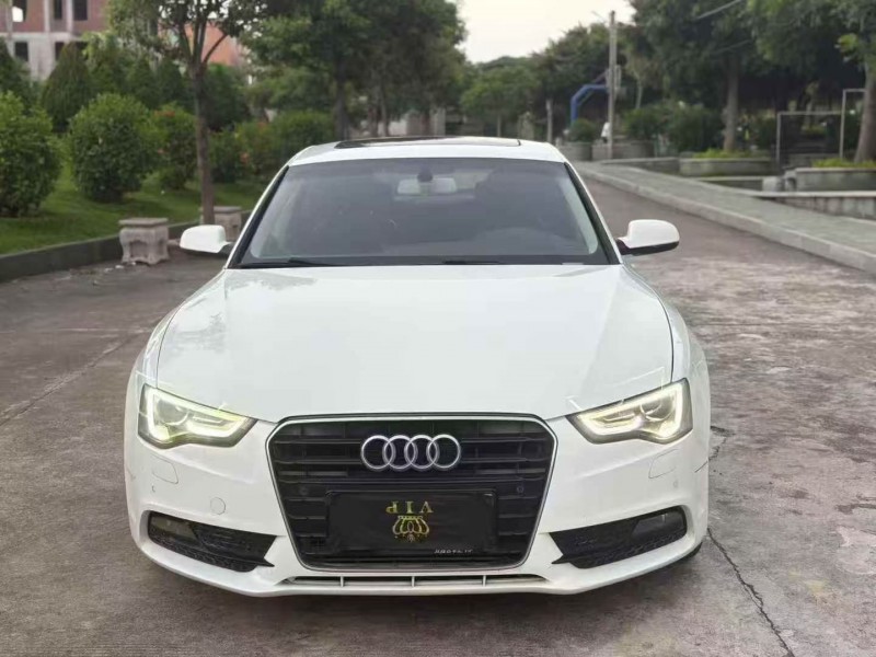 佛山16年奥迪A51