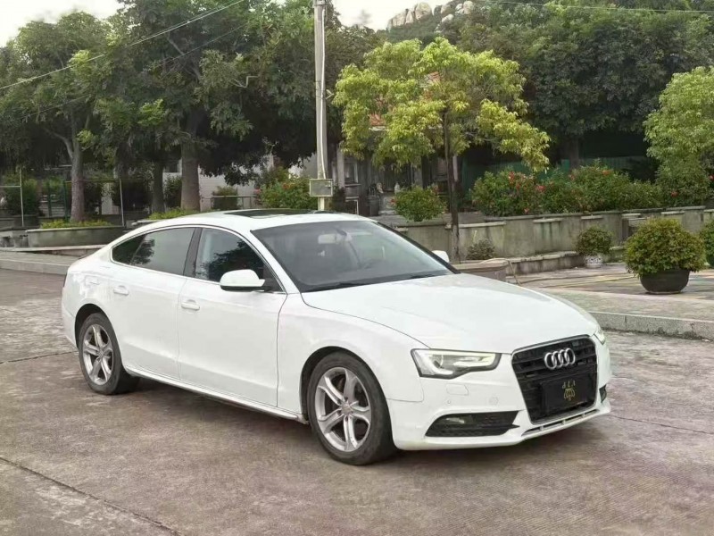 佛山16年奥迪A52