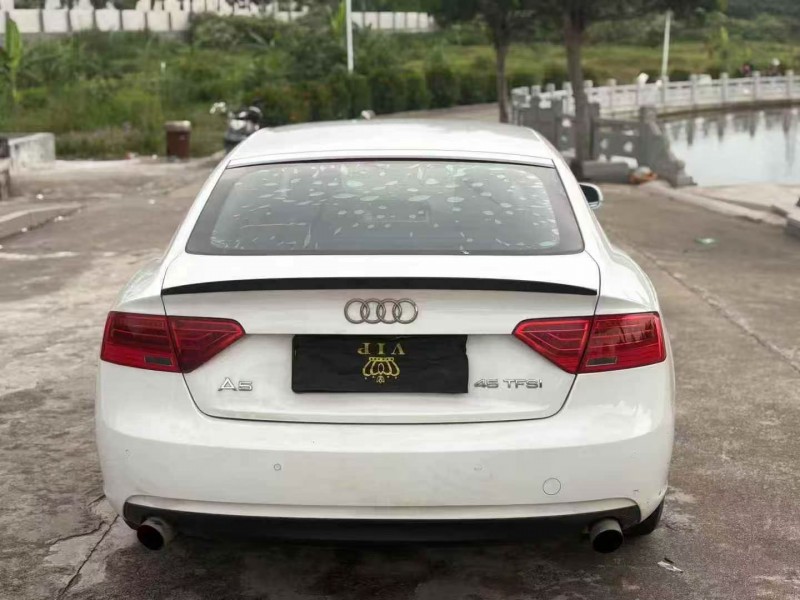 佛山16年奥迪A59