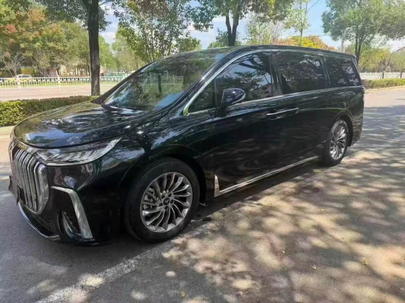 娄底23年岚图汽车梦想家2