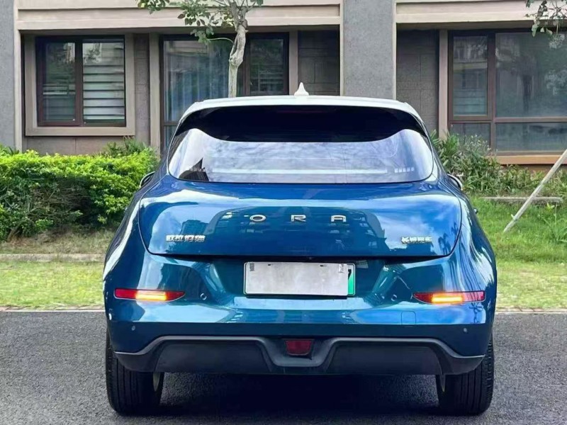 东方21年长城汽车欧拉9