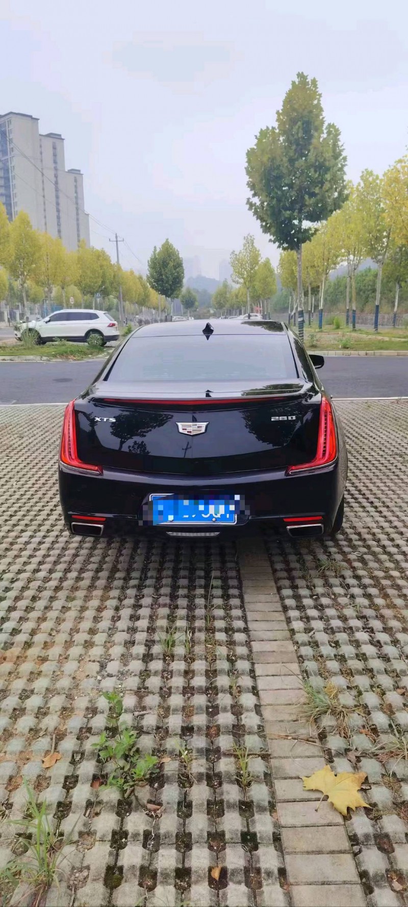 萍乡19年凯迪拉克XTS6